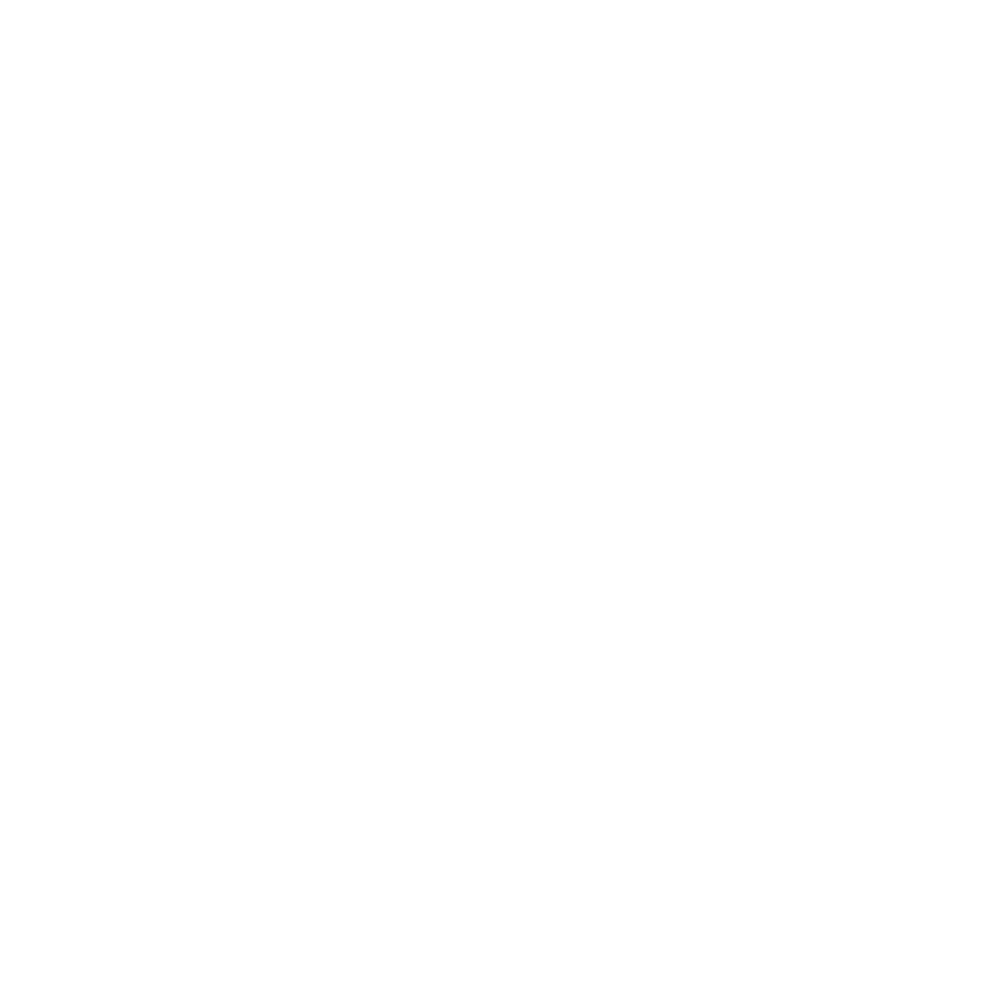 STAGUM Logo